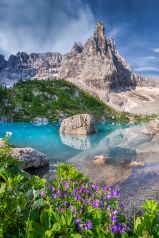 * Bergsee mit Wildblumen * Ein kleiner Bergsee im Hochgebirge der Dolomiten in Südtirol / Italien. Der See ist bekannt für seine intensiven Farbtöne von Blau Türkis bis Aquamarinblau.