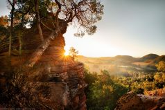 Die ersten Lichtstrahlen der aufgehenden Sonne streifen die Felsen und Bäume im Pfälzer Wald und erleuchten die Wälder und Täler in einem warmen Licht.