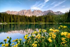 Der Karrersee in den Dolomiten in Südtirol in Italien. Gelb blühnden Blumen bildeten hier einen schönen Vordergrund zu diesem schönen Bergsee.