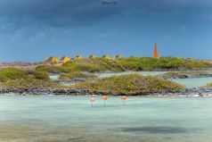 Bonair Flamingos und Sklavenhäuser / Karibik / Caribbean Sea