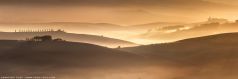 * Golden Light * . Ein besonderer Morgen im Herzen der Toskana. Schöne Toskana Landschaft mit Wiesen Hügeln und Feldern mit lichtdurchflutetem Nebel bei einem stahlenden Sonnenaufgang.